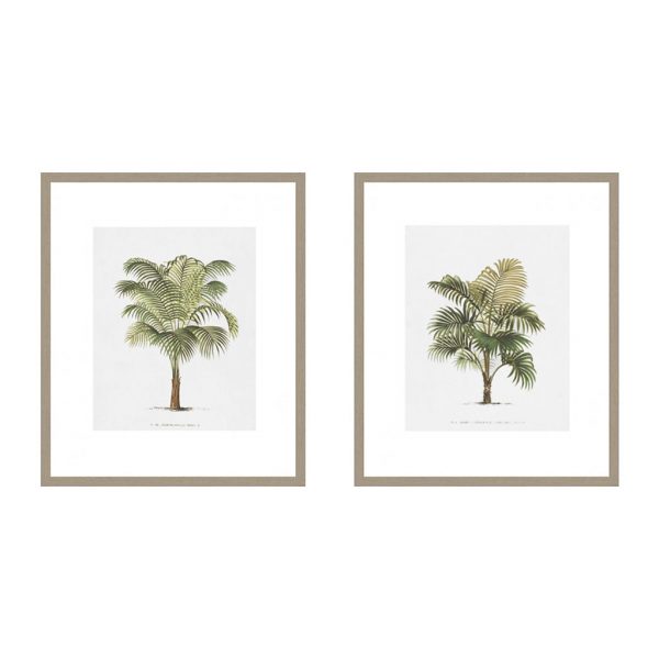 Les Palmiers on White II & IV $285 each